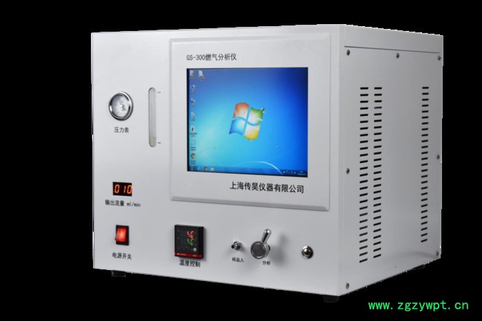 上海传昊GS-300天然气分析仪 各种型号液化分析仪 燃气分析仪  天然气分析仪 气体分析仪图2