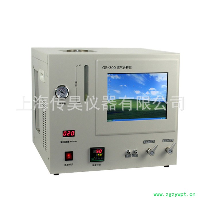 上海传昊GS-300天然气分析仪 各种型号液化分析仪 燃气分析仪  天然气分析仪 气体分析仪图4