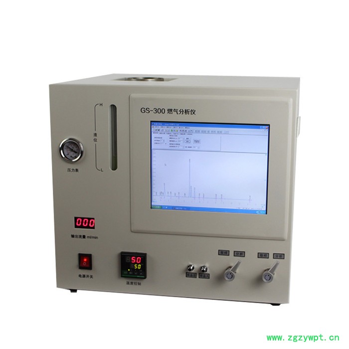 上海传昊GS-300天然气分析仪 各种型号液化分析仪 燃气分析仪  天然气分析仪 气体分析仪图3