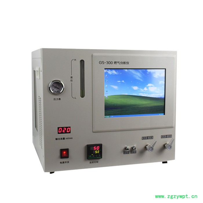 上海传昊GS-300天然气分析仪 各种型号液化分析仪 燃气分析仪  天然气分析仪 气体分析仪图5