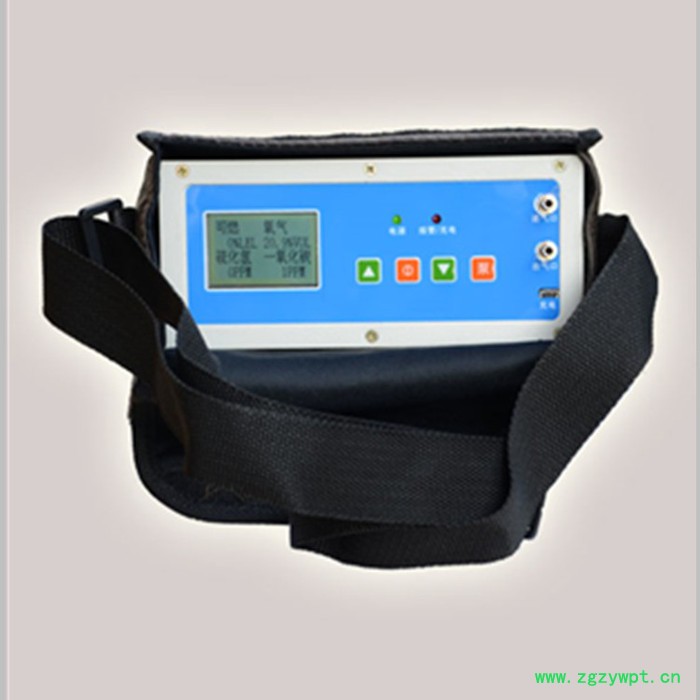 程煤**气体分析仪气体泄漏报警仪甲烷氢气可燃气体检漏仪图2