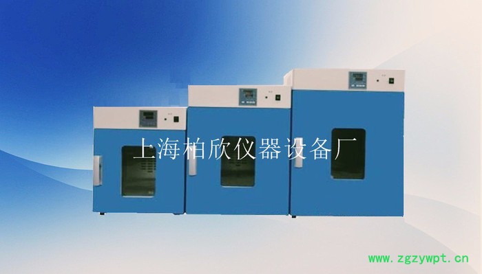 供应柏欣仪器DHG-9070A立式250度鼓风干燥箱 上海老化箱 恒温烘箱