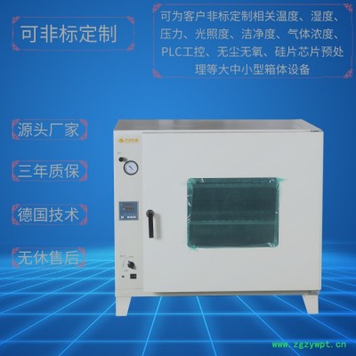 小型真空干燥箱DZF-6050 上海厂家 非标定制定做全自动充氮真空箱 高温真空烘箱
