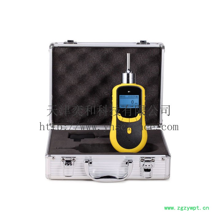 气体分析仪 溴气检测仪 泵吸式  JS901-Br2图2