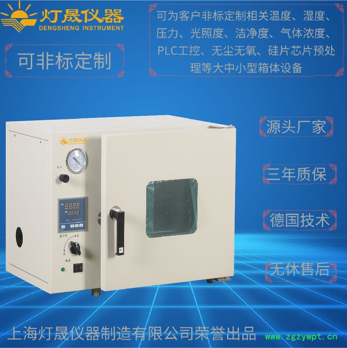 台式真空干燥箱DZF-6250 上海厂家现货直销 非标定制定做全自动充氮真空箱 高温真空烘箱图6