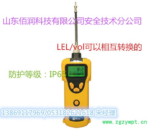 华瑞PGM-1100氧气气体分析仪国庆低价销售中图2