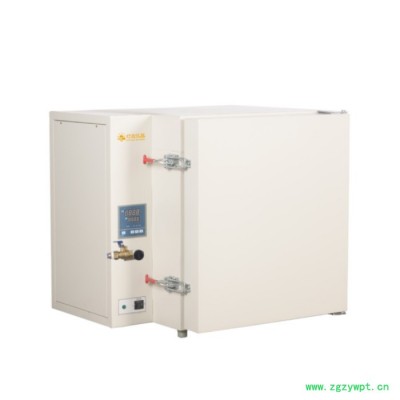 高温充氮烘箱干燥箱DHG-9076N 上海厂家现货直销 非标定制高温充氮烘箱鼓风干燥箱