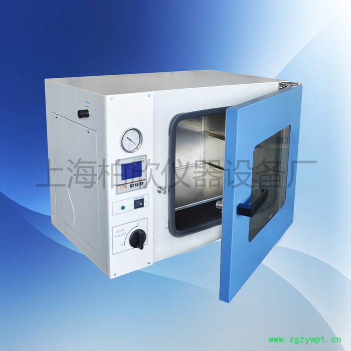 供应上海柏欣DZF-6021DZF-6021真空干燥箱 老化箱 真空烘箱图3
