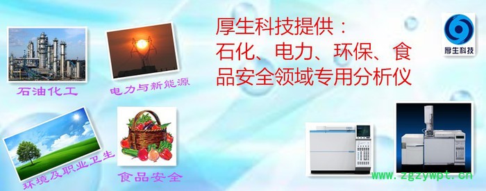 厚生HS1004气体分析仪 工业气中微量CO CO2分析仪图2