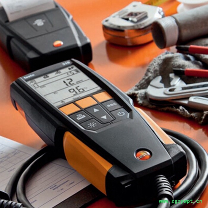 德国德图testo 310入门级烟气分析仪 气体分析仪图2