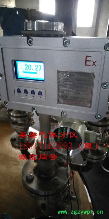 供应江苏盐城英盛**ZO-802 氧化锆气体分析仪表图3