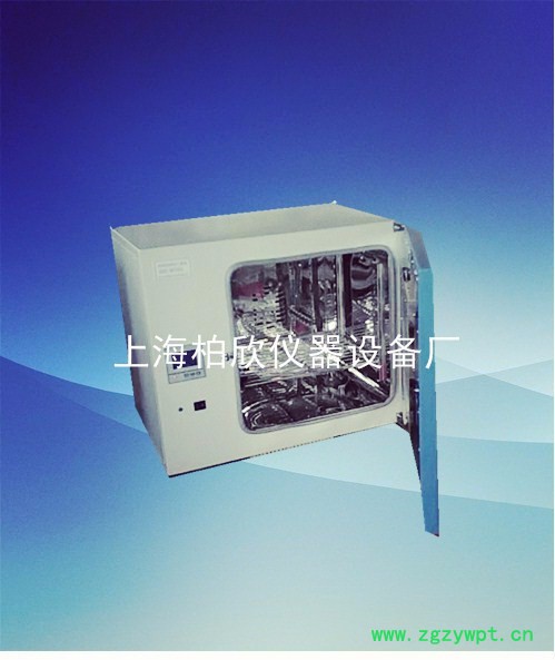 供应柏欣仪器DHG-9023A台式250度电热恒温鼓风干燥箱 烘箱 老化箱图2