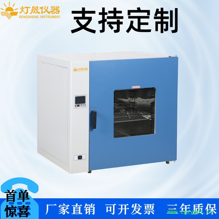 电热烘箱DS-55H 上海厂家现货直销 可定制热风循环烘箱 高温箱 干燥箱图2