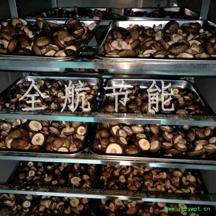 全航QH-KRFH-974**辣椒烘干箱辣椒热风循环烘箱品质可靠图5