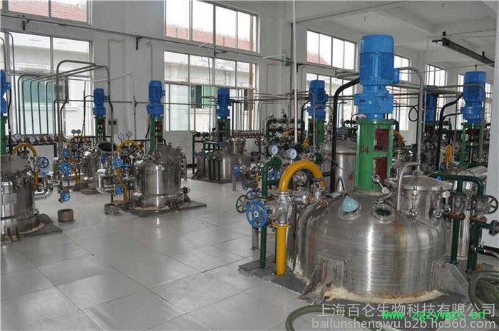 大中生产型发酵罐