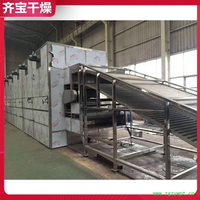 带式干燥设备 活性碳干燥机 分子筛带式干燥机 网带式干燥烘箱 方便米饭烘干机图4
