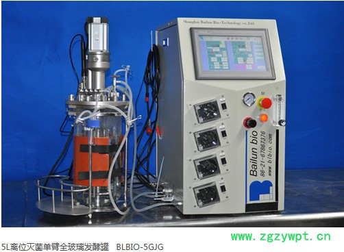 5L发酵罐BLBIO-XGCA反应器图3