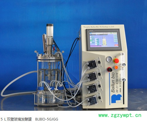 5L发酵罐BLBIO-XGCA反应器图4