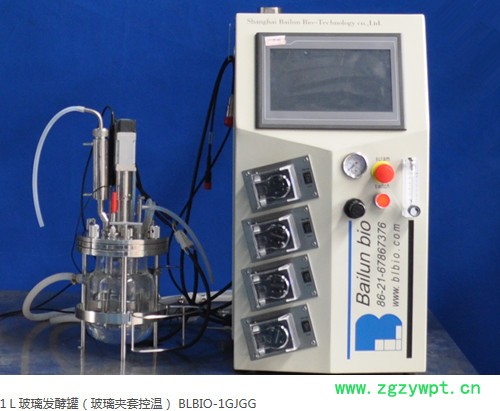 5L发酵罐BLBIO-XGCA反应器