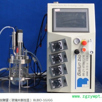 5L发酵罐BLBIO-XGCA反应器