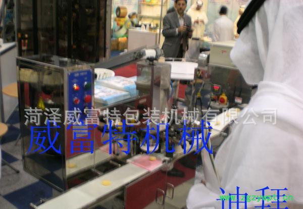 GHR-CHM型全自动烘干灭菌机 杀菌机 灭菌设备图3