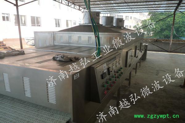 YH-30KW桂圆肉微波干燥灭菌设备 微波干燥设备图2