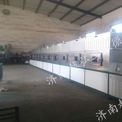 20KW隧道式微波烘箱 大连微波干燥杀菌机 济南微波设备公司