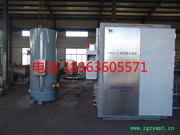 各种类型 食用菌灭菌器 平菇 白玉菇 姬菇灭菌设备  方形灭菌机械 全自动高温高压灭菌锅 灭菌时间短 杀菌彻底 鑫正达机图2