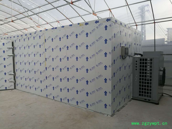 荔枝烘干机 柑橘干燥机  广东生产厂家- 沙果烘干热风循环烘箱图2