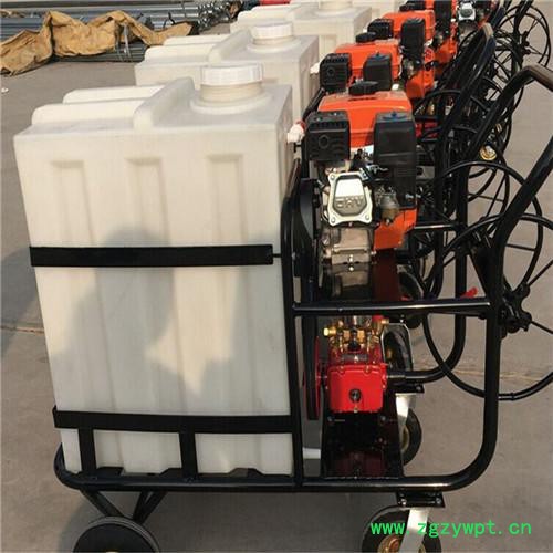 睿迪200升消毒机械灭菌设备 手推式汽油高压喷雾器图6