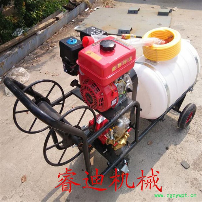 睿迪200升消毒机械灭菌设备 手推式汽油高压喷雾器图8