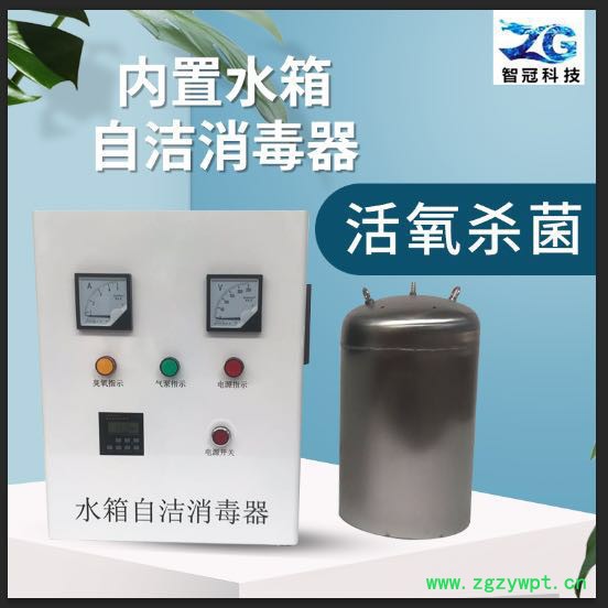 臭氧消毒器 箱水箱自洁消毒器~WTS-2A，图2