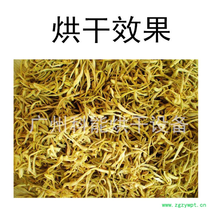 金银花烘干机 循环热风烘箱图4