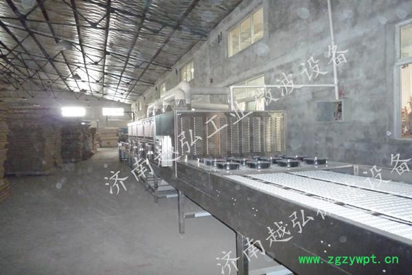 YH-12KW速食面微波烘干灭菌设备 济南越弘微波设备 微波烘干设备图2