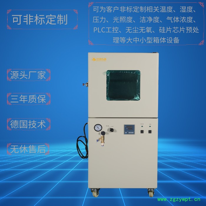 灯晟仪器DZF-6250N 充氮真空干燥箱（自动控制充氮） 非标定制全自动真空干燥箱 真空充氮烘箱 真空干燥设备上海厂家图2