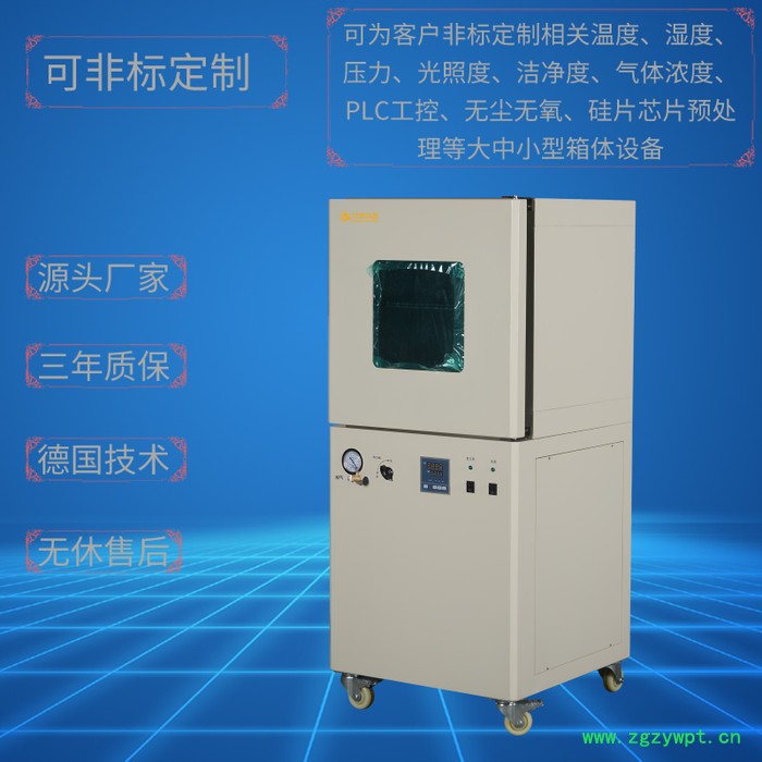 灯晟仪器DZF-6250N 充氮真空干燥箱（自动控制充氮） 非标定制全自动真空干燥箱 真空充氮烘箱 真空干燥设备上海厂家图4