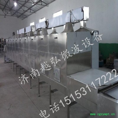 净化式对开门微波灭菌烘箱|药厂专业微波干燥杀菌机