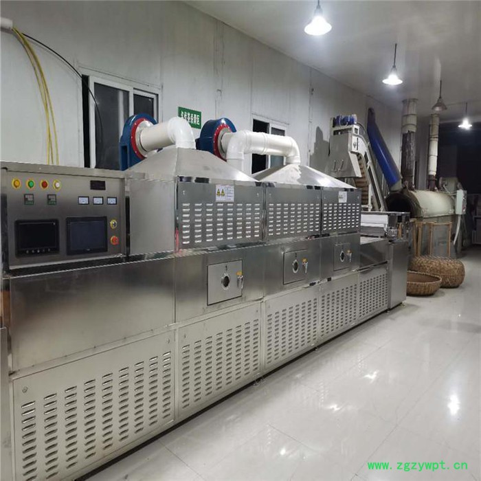 米粉杀菌机 微波低温灭菌设备  西安圣达SD-20HMV-4X图5