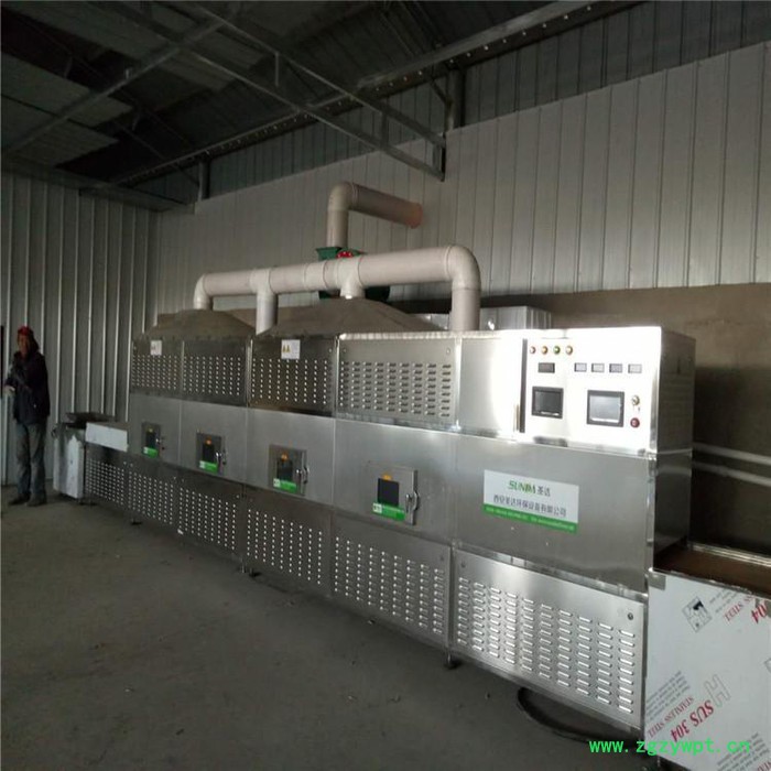 米粉杀菌机 微波低温灭菌设备  西安圣达SD-20HMV-4X图6