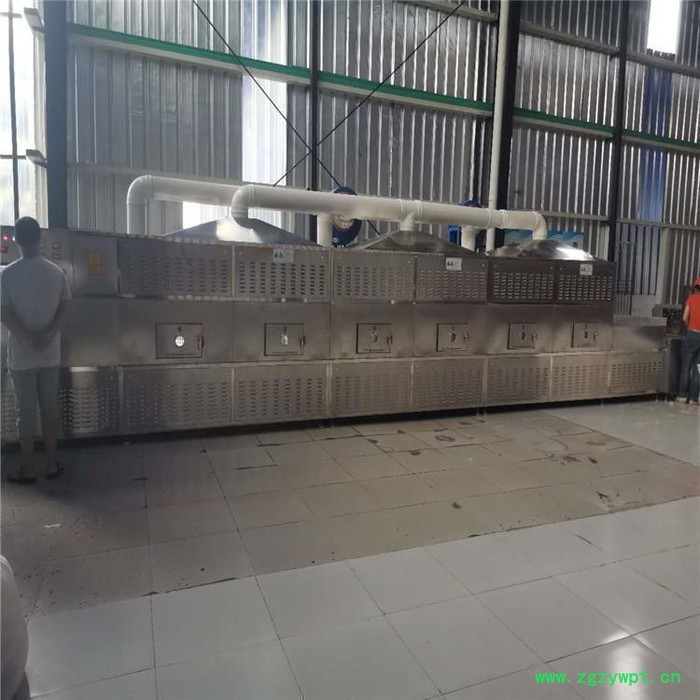 米粉杀菌机 微波低温灭菌设备  西安圣达SD-20HMV-4X图3