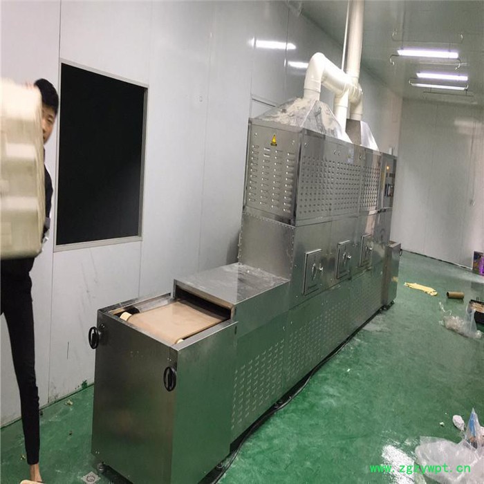 米粉杀菌机 微波低温灭菌设备  西安圣达SD-20HMV-4X图7