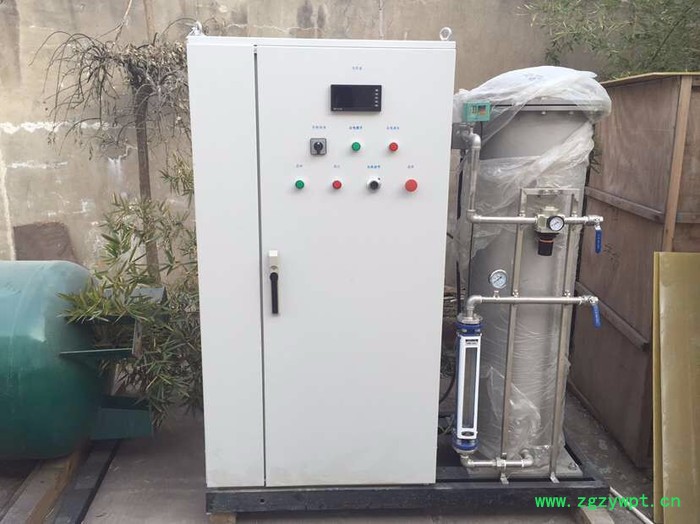 供应天蓝 工业灭菌设备 TS-300,自带气源处理系统,水处理设备生产厂家图4