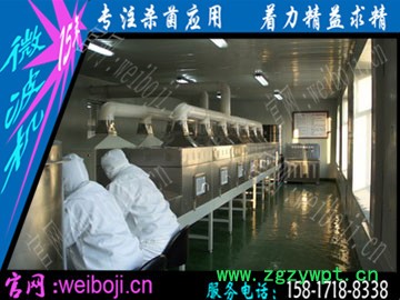 新一代枸杞灭菌设备 枸杞微波杀菌设备图6