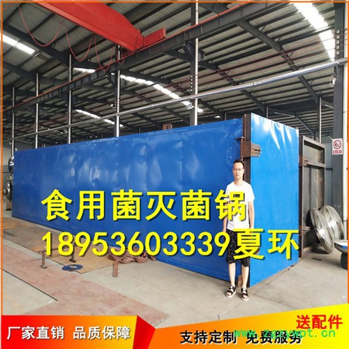 龙达LDJX1870 食用菌灭菌器高温蒸汽 电加热快速灭菌设备图3