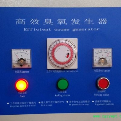 生产厂家20-50克效臭氧发生器食品灭菌设备空间消毒设备环境消毒设备净化空气 臭氧发生器厂家生活用水消毒灭菌