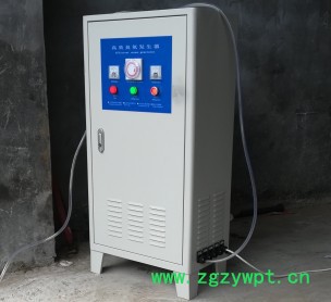 生产厂家20-50克效臭氧发生器食品灭菌设备空间消毒设备环境消毒设备净化空气 臭氧发生器厂家生活用水消毒灭菌图2