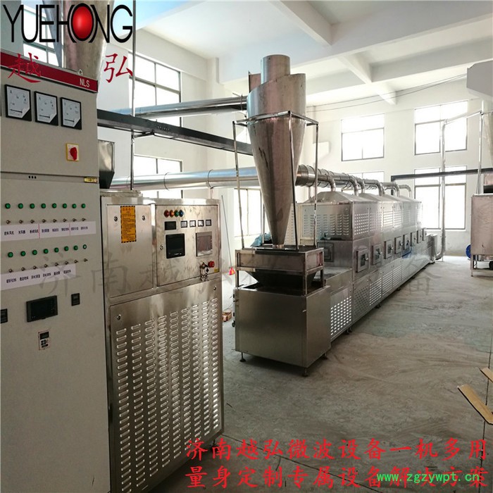 山东济南葡萄干微波干燥灭菌设备 微波干燥设备 微波干燥杀菌机图2
