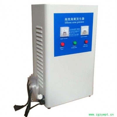 生产厂家1G/H高效臭氧发生器食品灭菌设备空间消毒设备环境消毒设备净化空气饮用水生活用水消毒灭菌001