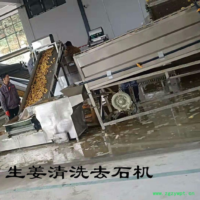 供应庆华鲜姜烘干机  生姜烘干机  鲜姜烘干烤箱  大姜干燥设备 辣椒复烘机、大蒜复烘箱图2