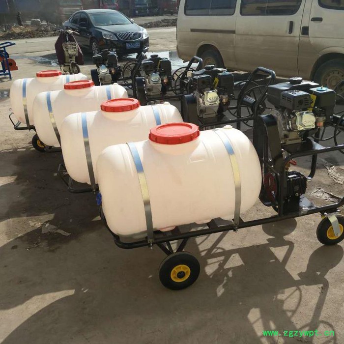 葡萄园灭虫打药机 多功能农药机械喷洒机 手推式带轮杀毒灭菌设备图2